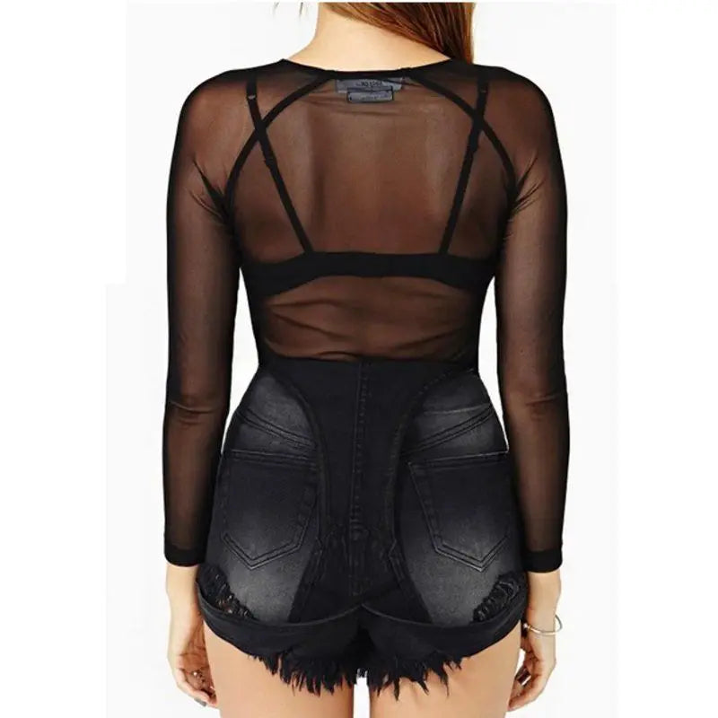 Sheer Mesh Long-Sleeve Top