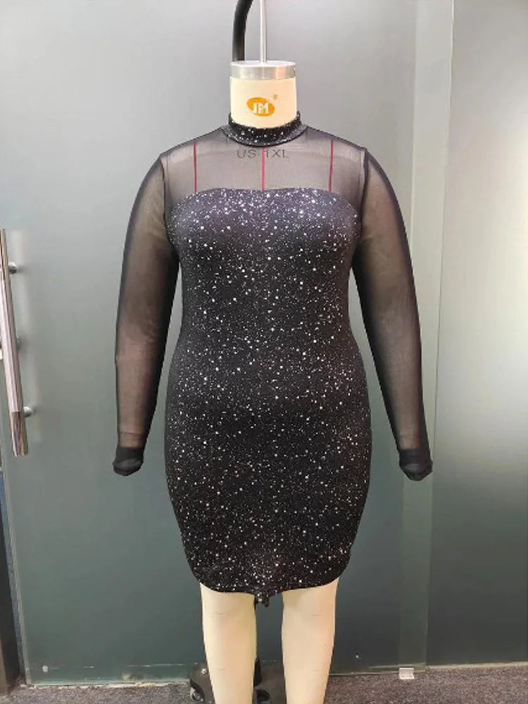 Glitter Mesh Bodycon Mini Dress