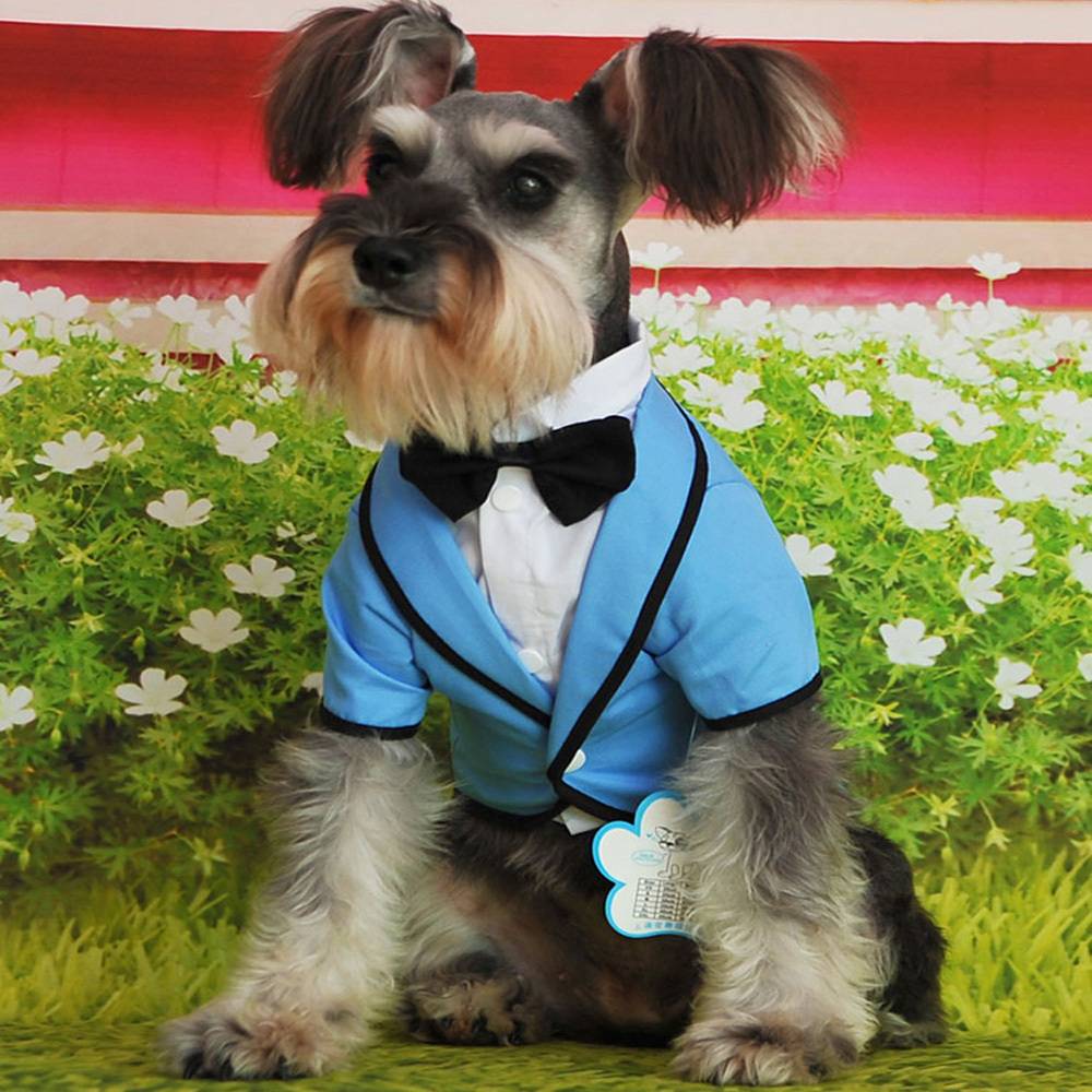 Formal Cotton Tuxedos For Dogs Color : Light Blue|Pink|Royal Purple|Royal Blue 